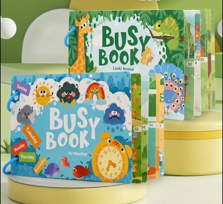 The busy book
