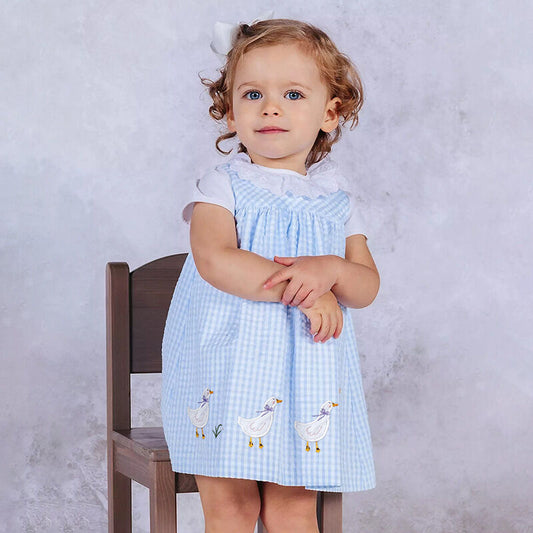 Gingham embroidered goose dress