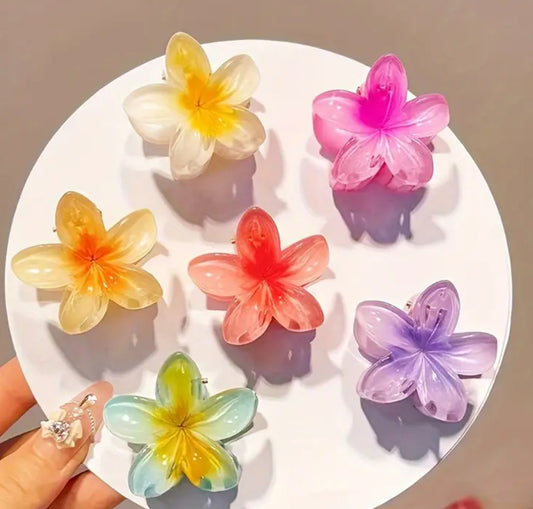 6 pack of flower clips