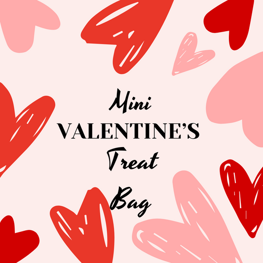 Mini Valentines Treat Bag - (Children)